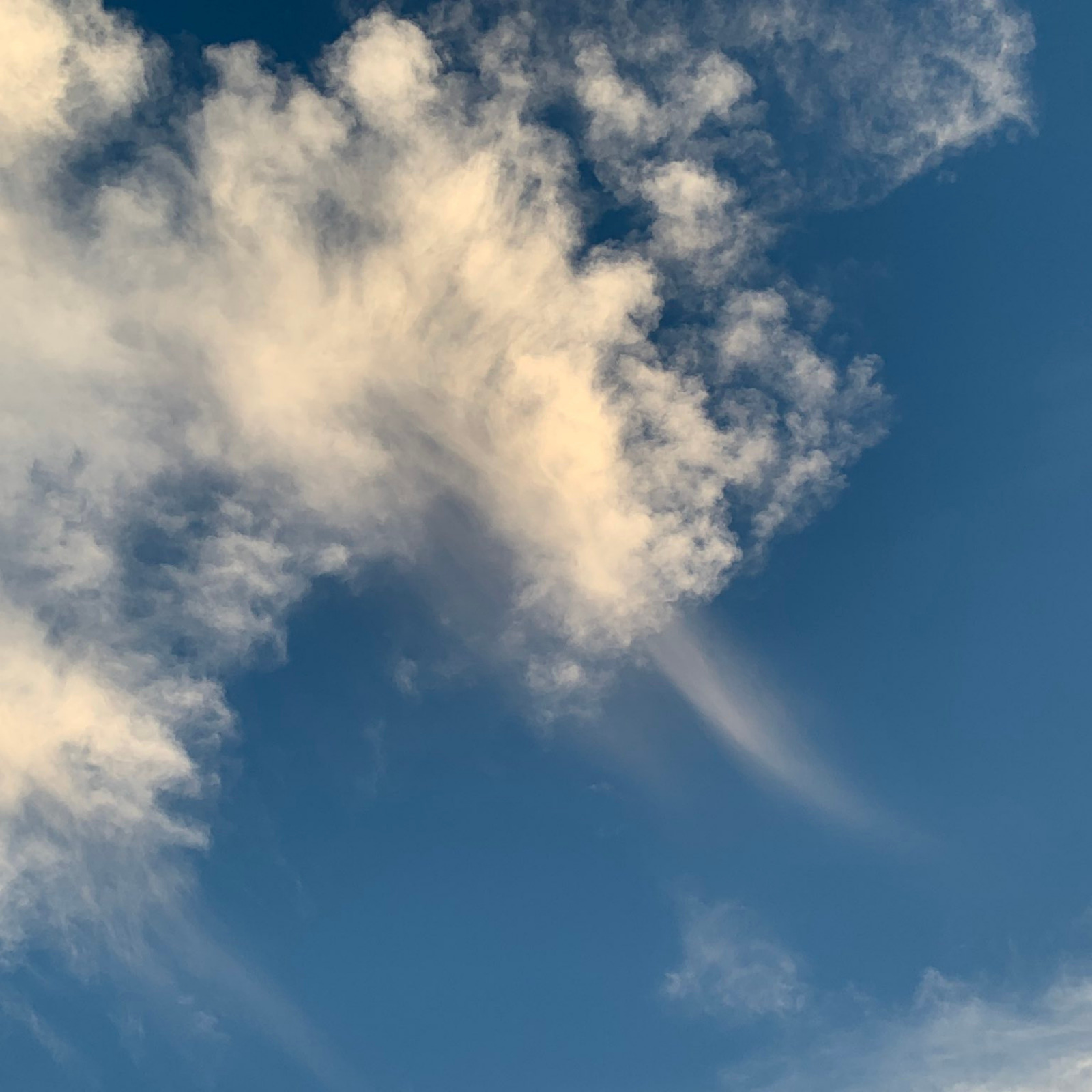 気象予報士が空をタドルvol.1「雲にしっぽをみつけたら?」