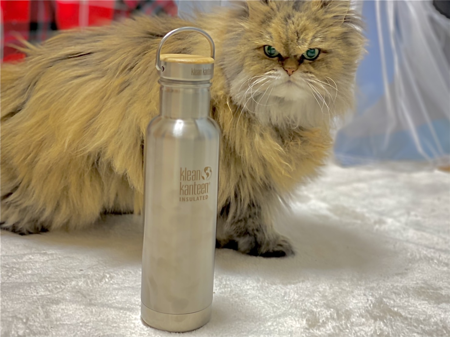 プラスチックフリーとは？ギフトにもおすすめの人気アイテムを紹介