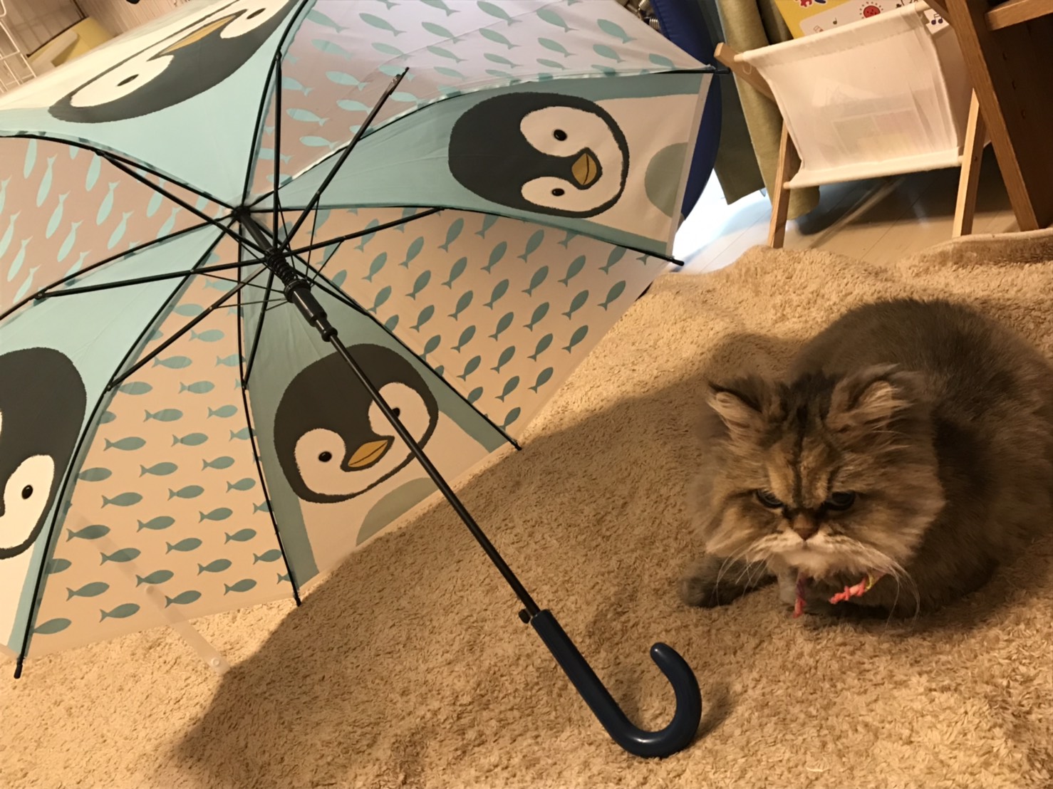 部屋干しのコツから湿気取り！梅雨を乗りきるママのためのエコ知恵袋