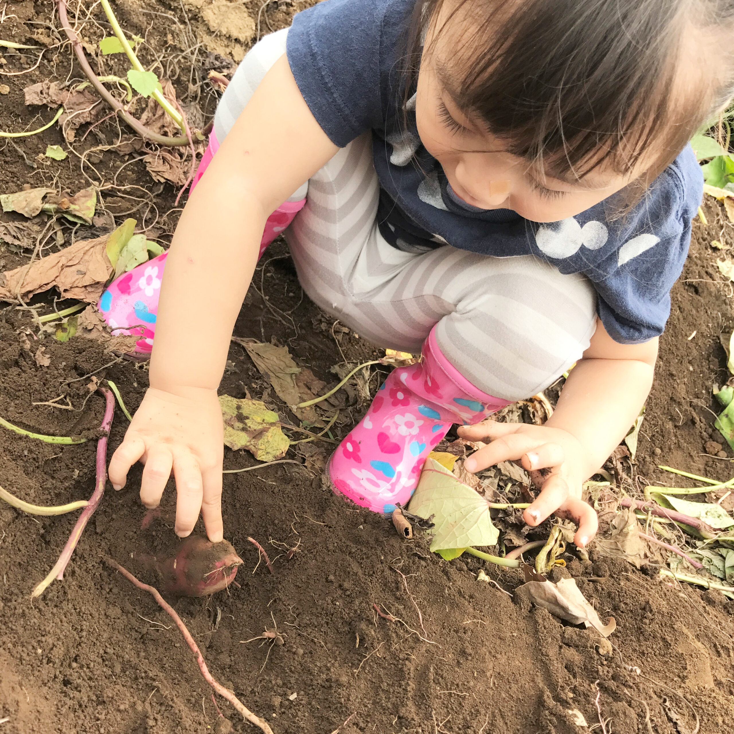 野菜嫌いも克服できる！旬を楽しんで親子で「食エコ」
