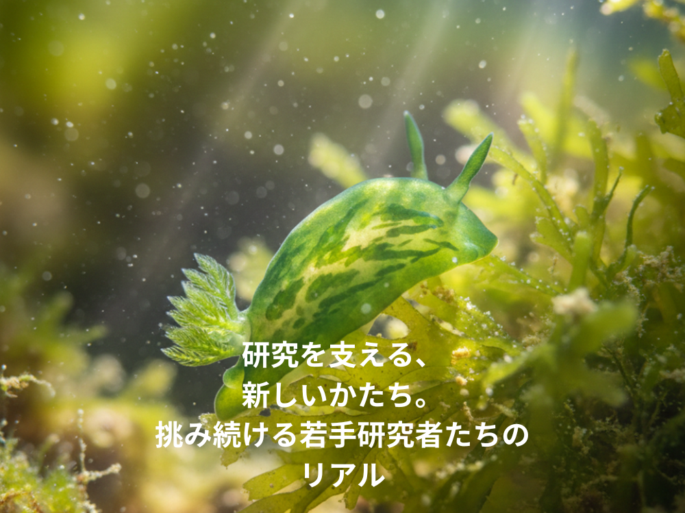 研究を支える、新しいかたち。挑み続ける若手研究者たちのリアル
