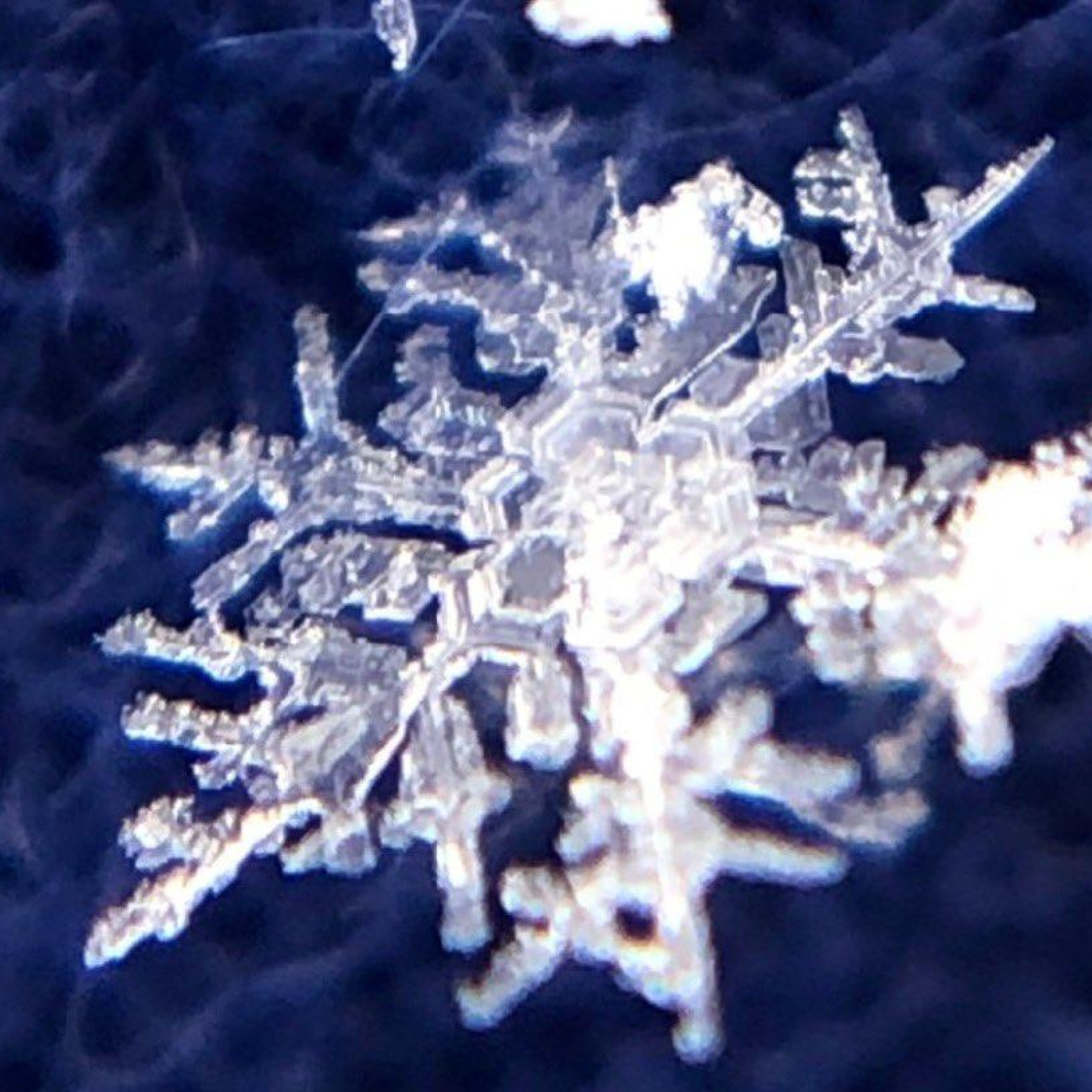 気象予報士がタドる空の魅力　vol.9　ミクロに見た雪のカタチ