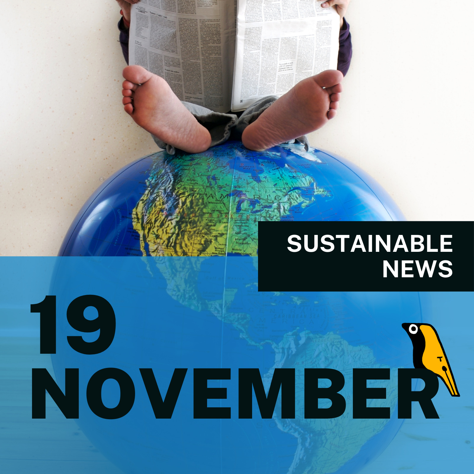 【3分で読める】Weekly Sustainable News 11/19号
