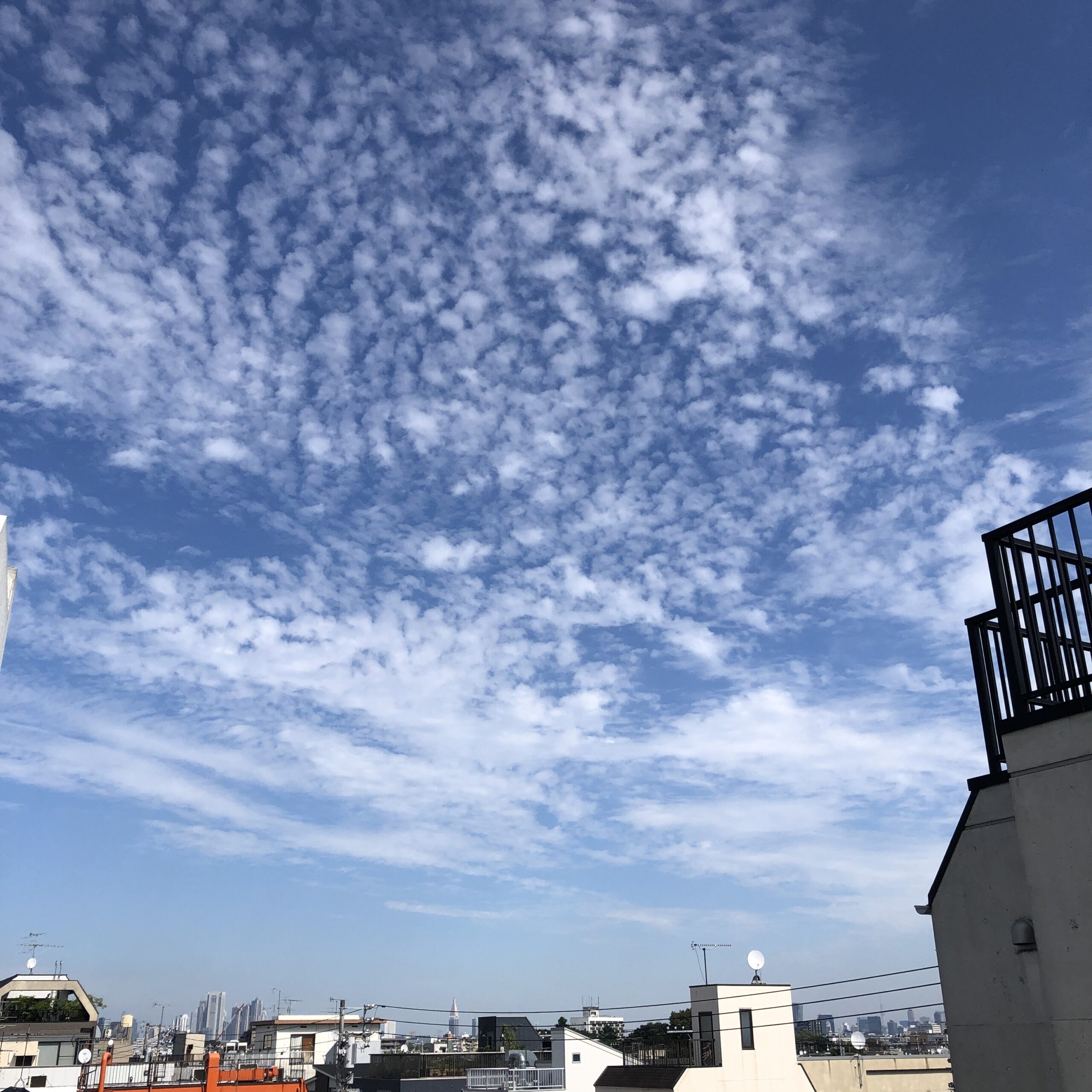 気象予報士がタドる空の魅力　vol.7　秋のうろこ雲